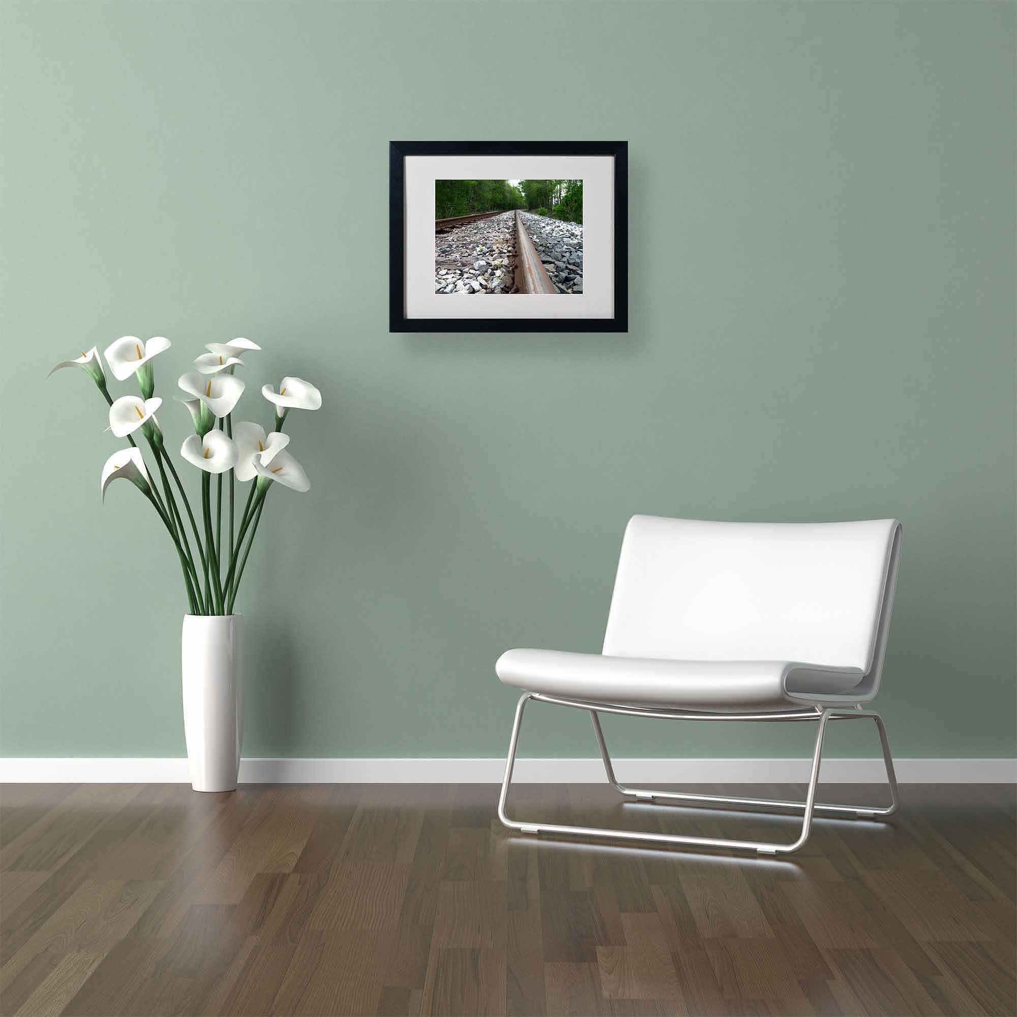 Trademark Fine Art "Guided Journey" Canvas Art by Monica Fleet, Black Frame