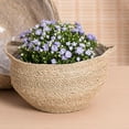 thumbnail image 3 of FRCOLOR Woven Flower Basket Woven Basket Hand Woven Planter Storage Basket Rustic Flower Basket Decor, 3 of 8