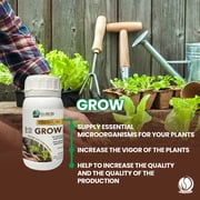 Bio Bob Plant Growing Kit