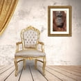 thumbnail image 3 of Jones, Adam 11x14 Gold Ornate Wood Framed with Double Matting Museum Art Print Titled - Orangutan-Pongo-native to Borneo and Sumatra, 3 of 4