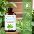 thumbnail image 3 of MAJESTIC PURE Peppermint Essential Oil | 100% Pure and Natural Peppermint Oil | Premium Grade Essential Oils for Hair Care, Home Diffusers, Skin, Aromatherapy, Massage and Humidifiers | 4 fl oz, 3 of 10