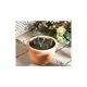 thumbnail image 5 of Set de 5 rejillas anti plagas Púa anti palomas, pájaros, gatos Repelente natural y ecológico para jardineras y huertas Protección inmediata Cortable y modular, 5 of 5