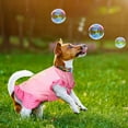 thumbnail image 7 of 2 Pieces Pet Dress Shirt Puppy Skirt Cute Dog Dress Pet Summer Clothes Dog Apparel for Small Dogs and Cats, 7 of 7
