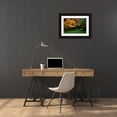 thumbnail image 3 of Geyman, Vitaly 14x11 Black Ornate Wood Framed with Double Matting Museum Art Print Titled - Contemplation II, 3 of 4
