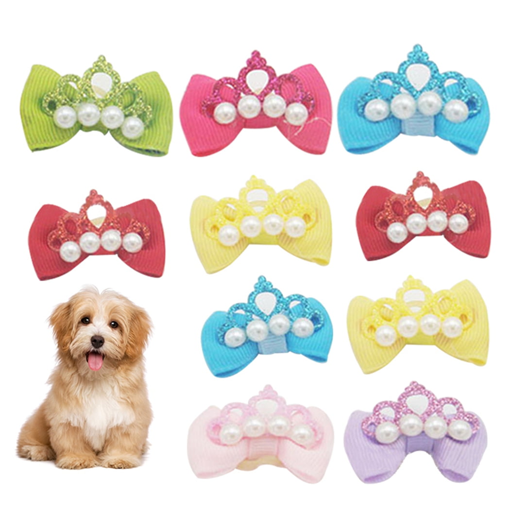 Dog head accessories discount