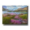 thumbnail image 1 of Epic Graffiti 'Heather Scotland' by Chris Vest, Canvas Wall Art, 16"x12", 1 of 3