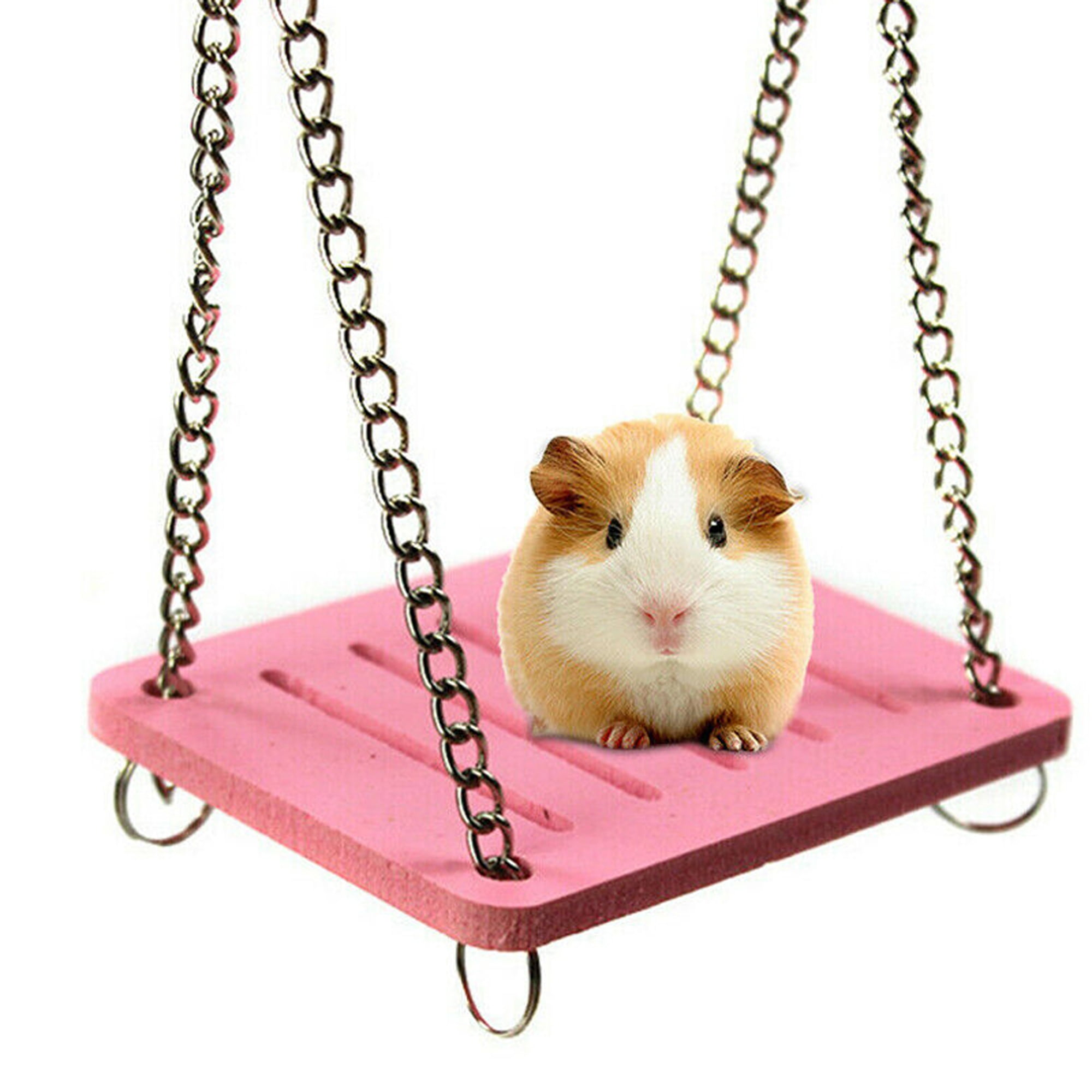 hamster on a swing
