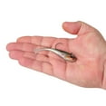 thumbnail image 2 of Berkley PowerBait® Power® Switch, 3.5 in, HD Stealth Minnow, 2 of 4