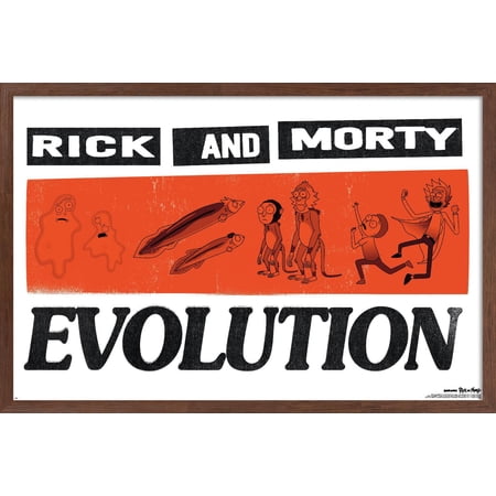 Rick And Morty: Season 9 (2026) - Evolution Wall Poster, 22.375" x 34" Framed