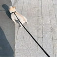 thumbnail image 2 of BTINESFUL 10FT / 15FT / 20FT Anti-Choke Slip Lead Dog Leash, Reflective 1/3â Rope Leash Long Training Lead for Small Medium Dogs Blue, 2 of 9