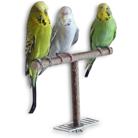 EHJRE Chew Bite Toy Parrot Toy Gnawing Play Supplies Bird Accessories Parrot Stand Wooden Bird Stand Holder for Finches Parakeets Exercise Branch