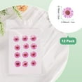 thumbnail image 3 of Paquete de 12 flores secas prensadas para resina, flores naturales secas para manualidades/joyería/jabones/álbumes de recortes/velas/resina epóxica [Rosa Pink], 3 of 6