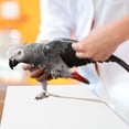 thumbnail image 1 of Luxshiny 100Ud Bird Cage Liner Paper Absorbente Y Transpirable Para Jaulas De Mascotas, 1 of 7