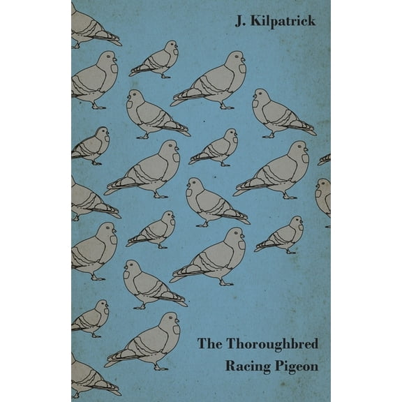 The Thoroughbred Racing Pigeon, (Paperback)