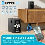 Acoustic Audio by Goldwood AA5240 Home Theater 5.1 Bluetooth Speaker System with Optical, USB and SD Inputs, Black