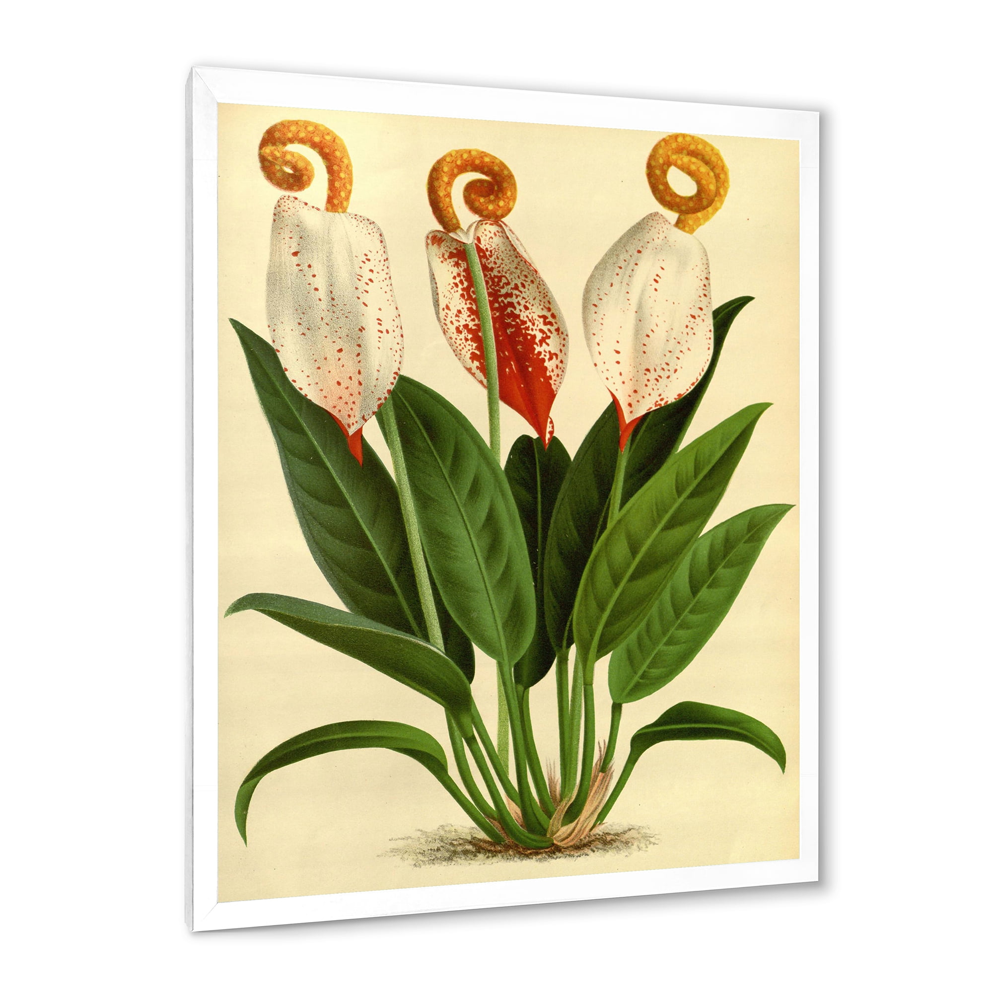 Designart 'Retro Wildflowers' Farmhouse Framed Art Print