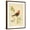 Brown Frame, variant on Art.com Gilded Songbird 3 Art Print by Chad Barrett, 12" x 16"
