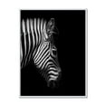 thumbnail image 1 of Designart Portrait monochrome de tête de zèbre ART MURAL À CADRE FLOTTÉ, 1 of 4