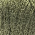thumbnail image 2 of Caron® Simply Soft™ #4 Worsted (Medium) Acrylic Yarn, Army Green 6oz/170.1g 315 Yards, 2 of 2
