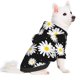 thumbnail image 2 of Balery Daisies Flowers Sudadera con Capucha para Perros Pequeños – Ropa para Mascotas, Disfraz para Perros y Gatos, Ideal para Fiestas y Cosplay-XX-Large, 2 of 7