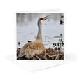 thumbnail image 5 of 3drose, Sandhill Crane Calling Its Mate, 12 Greeting Cards with Envelopes, 5 of 7