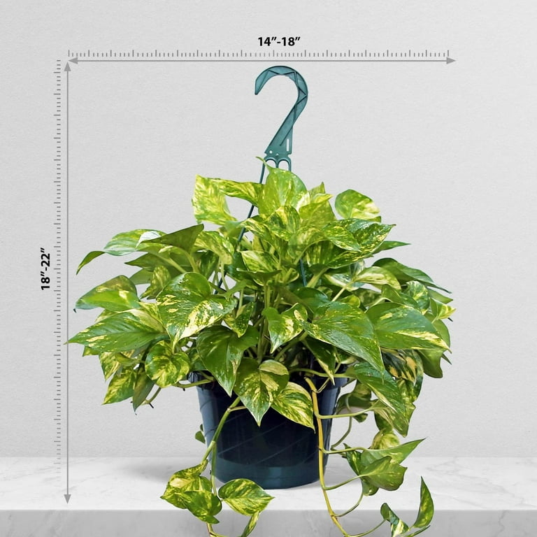 fermob planter Fermob Terrazza Planter main image 0