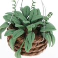 thumbnail image 3 of Planta en miniatura colgante CUTICAT 1:12 decoración de hadas verde 3x3x7cm, 3 of 7