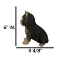 thumbnail image 2 of Adorable Lifelike Pet Pal Sitting Yorkie Terrier Puppy Home Decor Figurine, 2 of 9