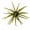 Electric Pumpkin, variant on Headhunter Spider Monkey Plastic Urchin Bait Pumpkin Magic