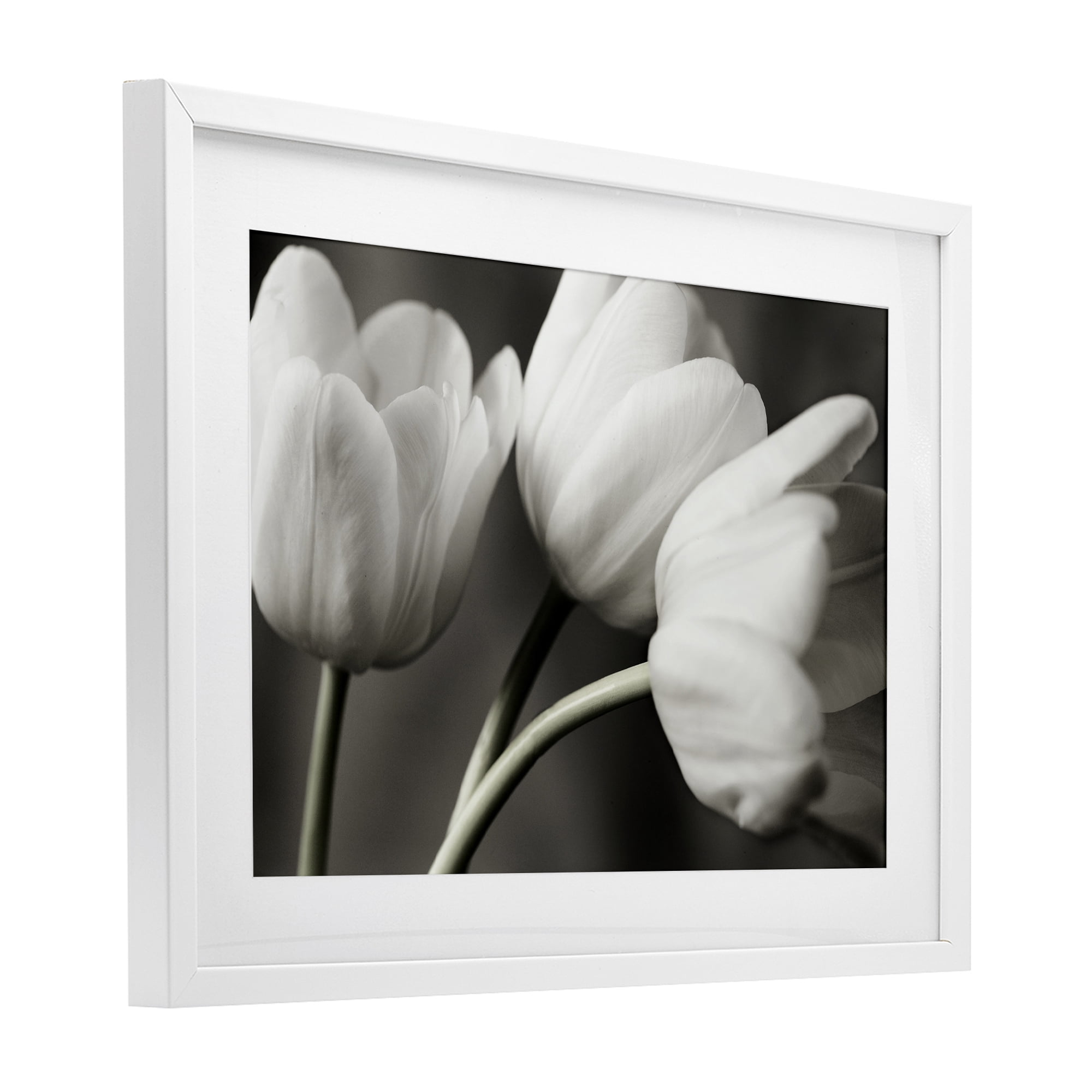 Stupell Industries Row Of Monochrome Tulips White Framed Print Under Glass, design by Tom Quartermaine
