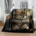 thumbnail image 1 of Couverture Ragdoll Chat Persan Calico Chat Garfield Couverture Douce pour Maison Chambre Lit Canapé Couverture Enfants, 1 of 7