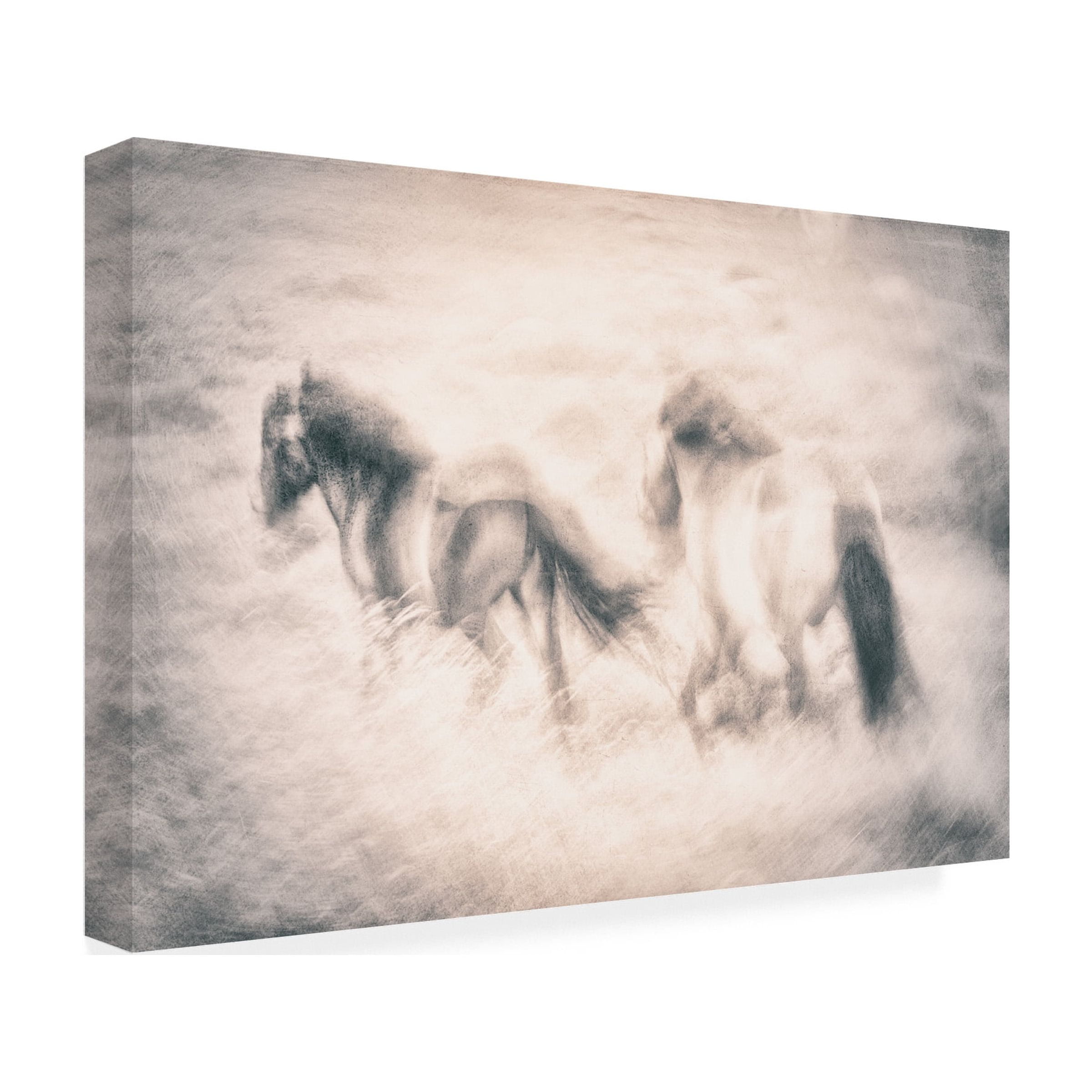 Canvas Wall Art - Nel Talen 'Running Free' Wall Art for Living Room, Bedroom, or Office DÃ©cor by Trademark Fine Art - 47 x 30 Inches