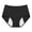 15# Black, variant on Absorbent Panties, Period Underwear for Women All-Day Long Protection Leakproof Panties Khaki 2XL