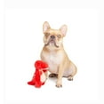 thumbnail image 3 of One Paw, Tyrannosaurus Dinosaurs Plush Dog Toy, 3 of 3