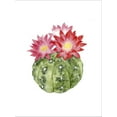 thumbnail image 2 of Art.com Cactus Bloom III Stretched Canvas Print Wall Art by Grace Popp, 12" x 16", 2 of 4