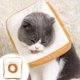 thumbnail image 4 of Cuello de Cono de Gato Cuello Redondo de Gato Ajustable Suave Cuello de Recuperación de Gato Suave Fundido Después de la Cirugía Cuello Redondo de Gato Cuello Redondo Decoración de Pan Ropa de Gato Cu, 4 of 6