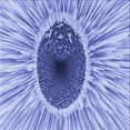 thumbnail image 1 of Ahgly Company Machine Washable Indoor Square Transitional Royal Blue Area Rugs, 8' Square, 1 of 7