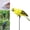 Yellow, variant on JJYY 1PC/2Pcs Faux Feathered Parrot Bird Statue Decoration – Modern Home and Garden Ornament – Realistic Zoo-Inspired Decor Available in 25cm/35cm Sizes