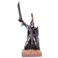 thumbnail image 1 of Mantic Games MGKWE60-1 Ensemble de Jeu Prince Elfe, 1 of 2