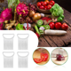 thumbnail image 5 of Juego de piezas Rebanadora de cebolla de acero inoxidable Rebanadora de rejilla de tomate vegetal para trabajadores de cocina Herramientas de cocina de seguridad Adepaton CPB-DE-LYY2225-4, 5 of 5