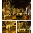 thumbnail image 1 of Gypsophila LED lantern warm white 50 meters 400 lights (European standard) warm white, 1 of 1