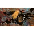 thumbnail image 2 of Bolokofsky, Ronald 14x10 Black Ornate Wood Framed with Double Matting Museum Art Print Titled - Butterfly On A Rosebud, 2 of 4