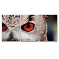 thumbnail image 2 of wall26 - 3 Piece Canvas Wall Art - Closeup of an Owl with Red Eyes - Modern Home Art Stretched and Framed Ready to Hang - 24"x36"x3 Panels, 2 of 4