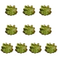thumbnail image 2 of 10 piezas de suculentas falsas Ounissouiy pequeñas decorativas prácticas, 2 of 6