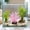 Pink-Free Size/PK, variant on Luminous Resin Aquarium Ornament Glow In Dark Tropical Seascape Fish Tank Decor Aquascaping Underwater Habitat Nautical Theme Decoration