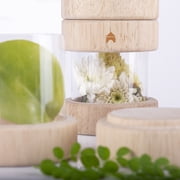 Guidecraft Treasure Tubes Clear: Observation Stacking Acrylic Tubes with Transparent Window, Kids' Sensory Exploration Toy