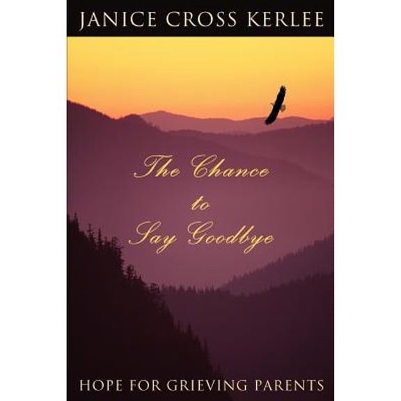 The Chance to Say Goodbye (Paperback)