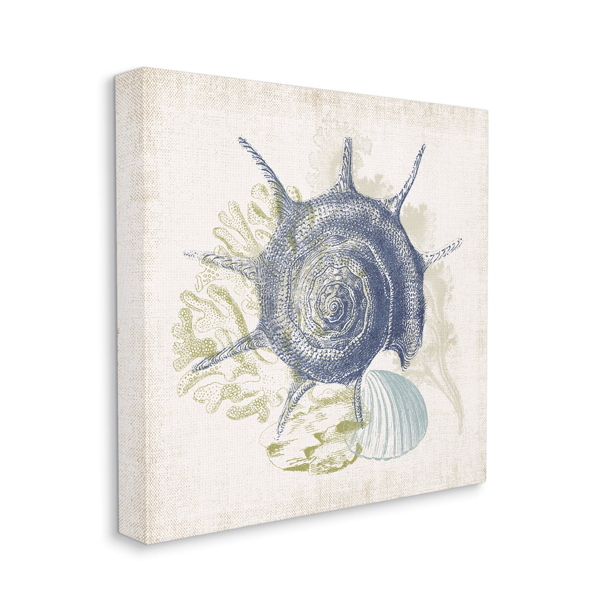 Stupell Industries Intricate Conch Seashell Drawing Layered Coral Botanicals Graphic Art Gallery Wrapped Canvas Print Wall Art, Design by Victoria Barnes