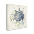 thumbnail image 3 of Stupell Industries Intricate Conch Seashell Drawing Layered Coral Botanicals Graphic Art Gallery Wrapped Canvas Print Wall Art, Design by Victoria Barnes, 3 of 7
