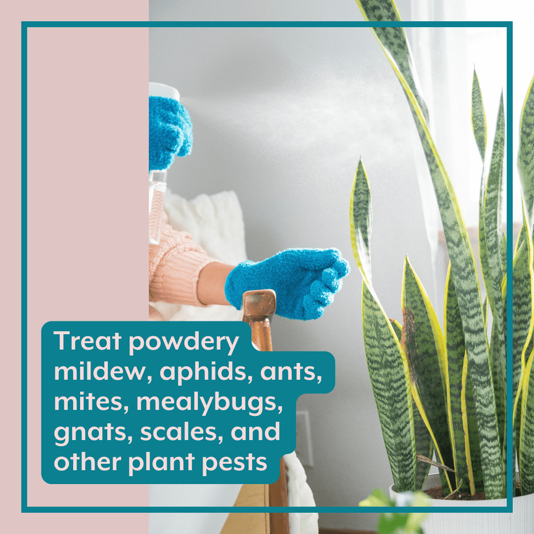 The Complete Plant Care Bundle (Plant Food + ProBiotics + Natural Pest Control) for HOUSEPLANTS